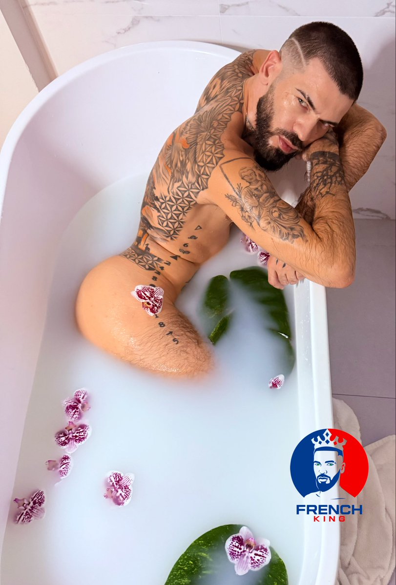 Real_FRENCHKING's tweet photo. Do you think someone join me in? https://t.co/IRZKq7O9Sv