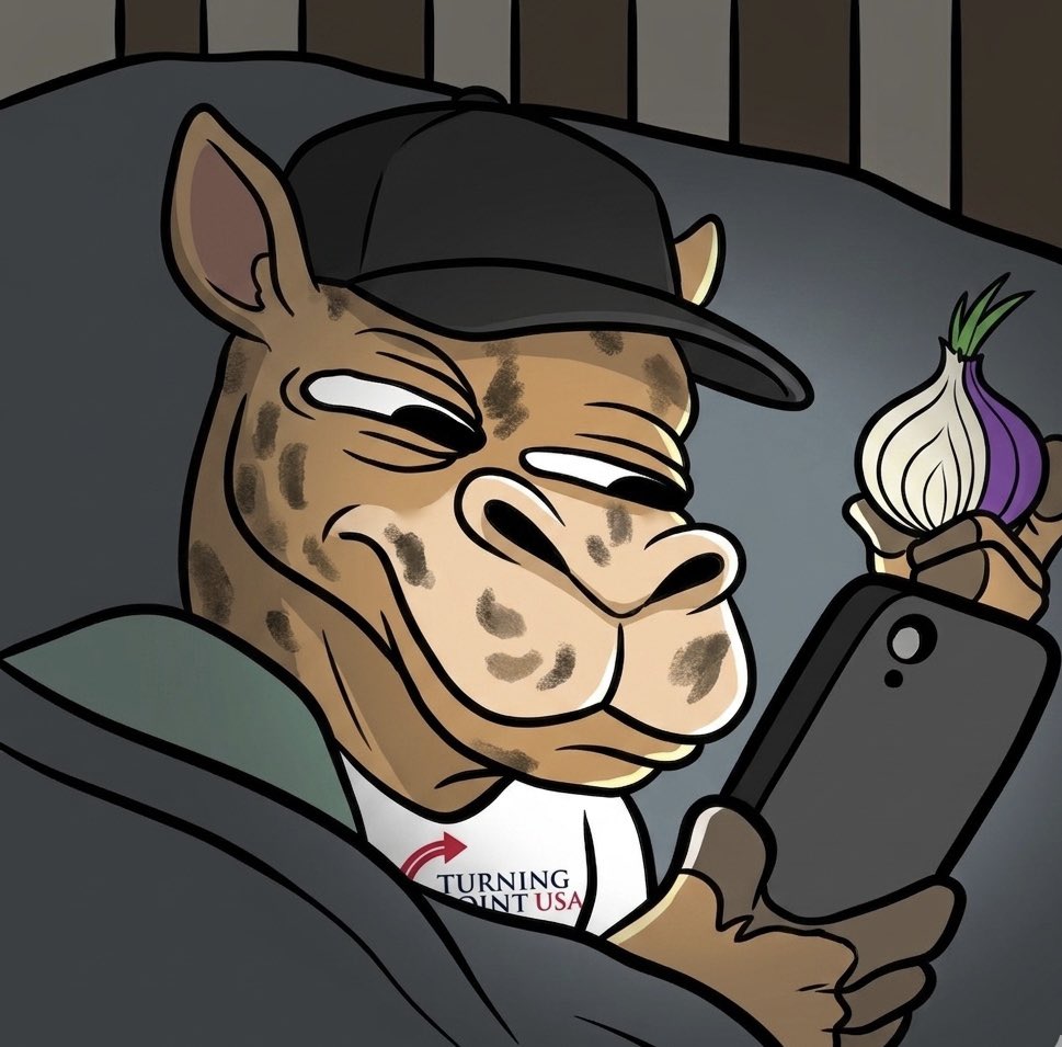 Shady_Bobs tweet media