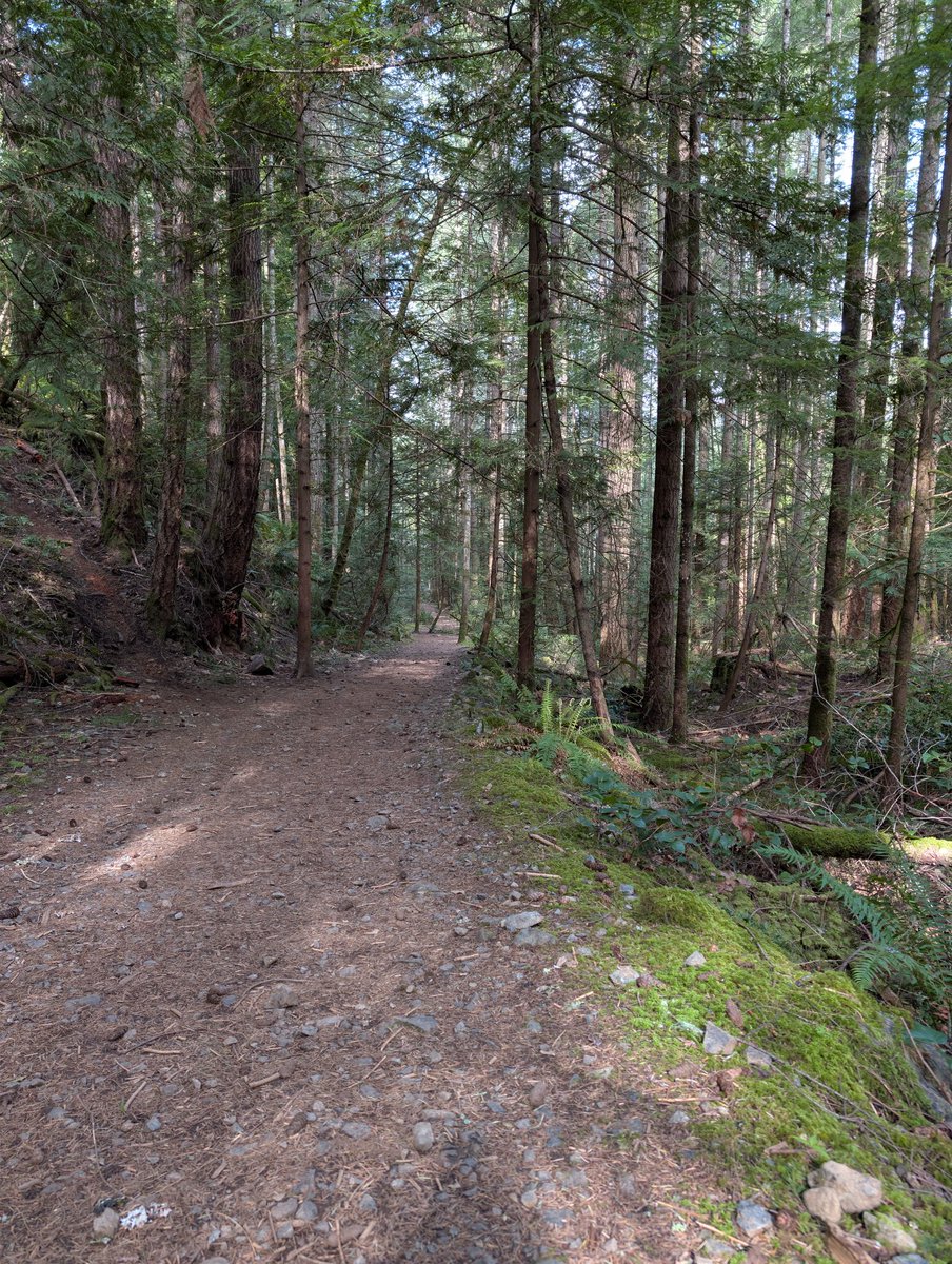 graychesthair's tweet photo. Yesterday wasn't a great day for a hike, but it was the first chance I had in the past month. The weather forecast was a lie - I chased patches of sunshine that never actually cleared enough to call it "sunny". Still, nude hiking for over 2 hours through the forest was priceless! https://t.co/ppNJcZiiHx