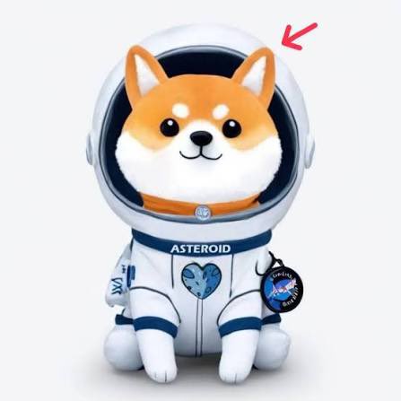 爱理财的小羊FAN tweet media