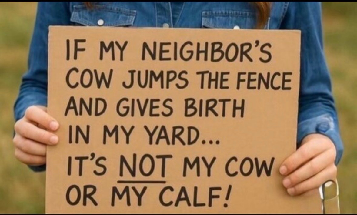 RiceMice tweet media