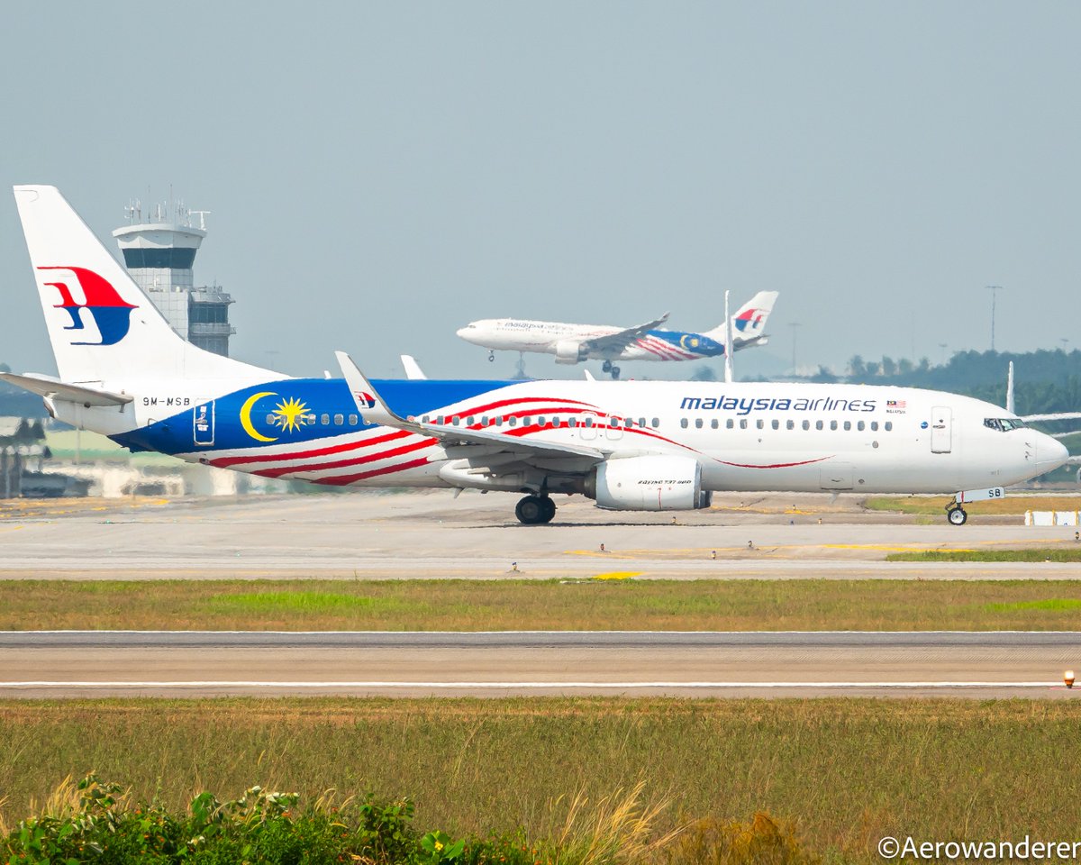 Aerowanderer tweet media