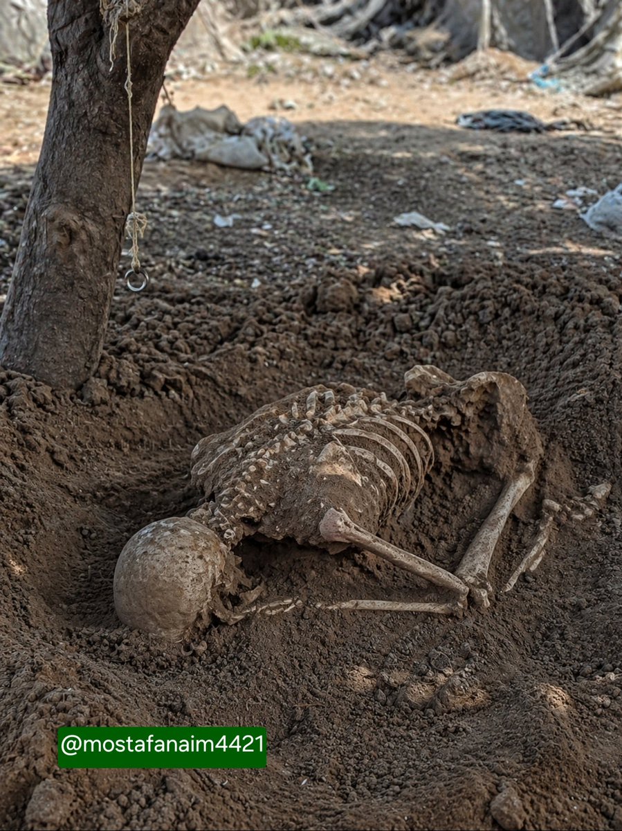 T Ü R K M E N   D A Ğ I tweet media