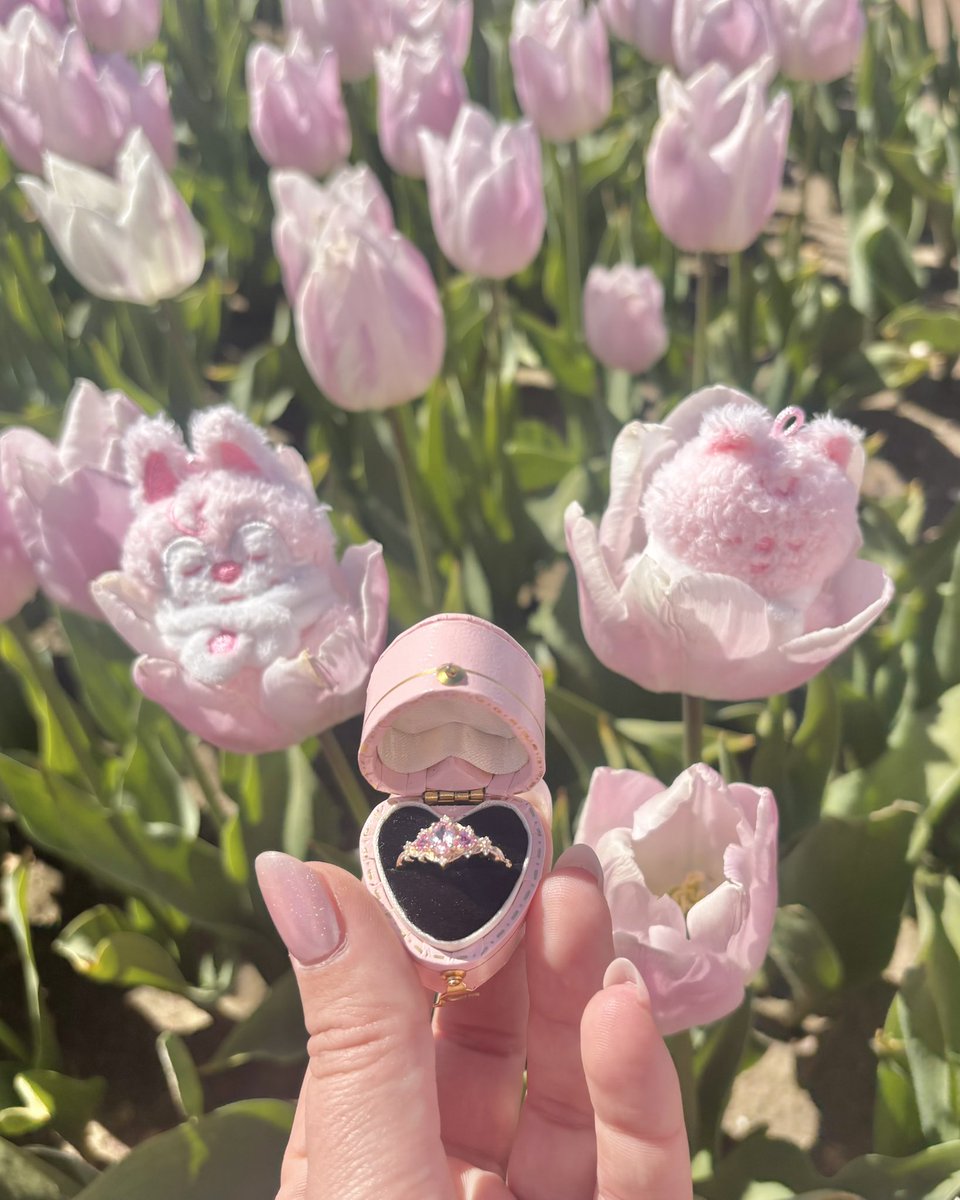 stray kids? in my engagement photos? it’s more likely than you’d think 

(i said yes!!💍🌷🎀)