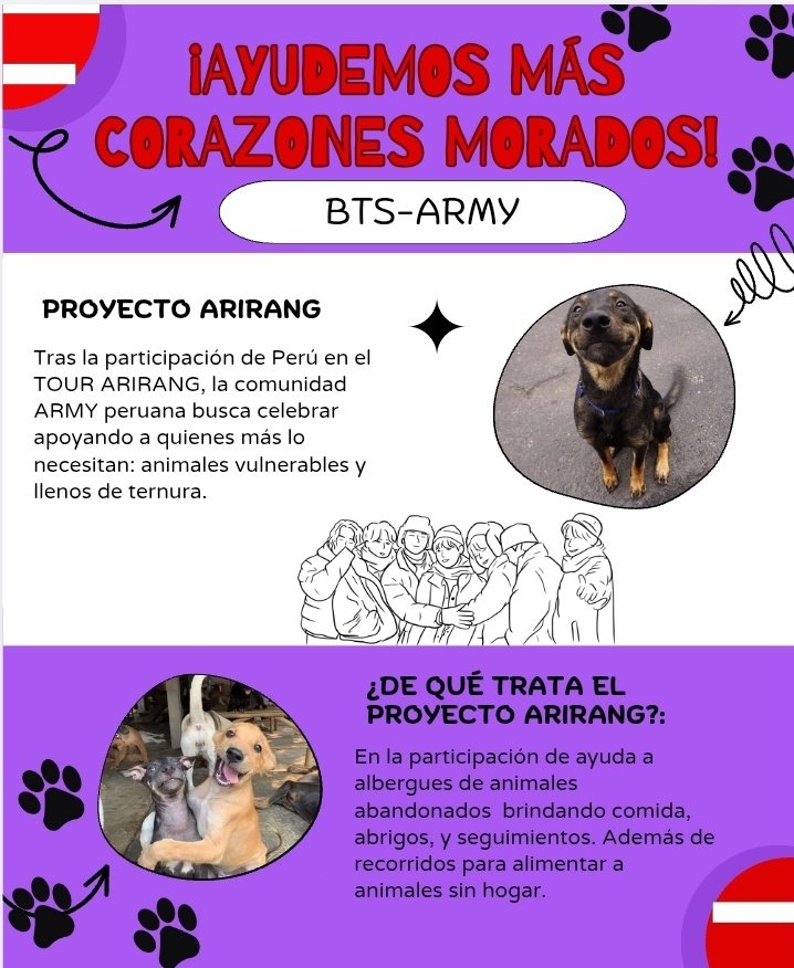 for_bangtan07's tweet image. ARMY PERÚ🇵🇪‼️

ARMYs de Áncash han organizado un proyecto y buscan apoyar a fundaciones que ayudan a animalitos sin hogar, ya que en su región no llega mucha ayuda 🥺

Si pueden, denle RT y compartan el afiche 🙏
¡Toda ayuda suma!

#ARMY #BTS #AyudaAnimal #Ancash @huingo_leslye