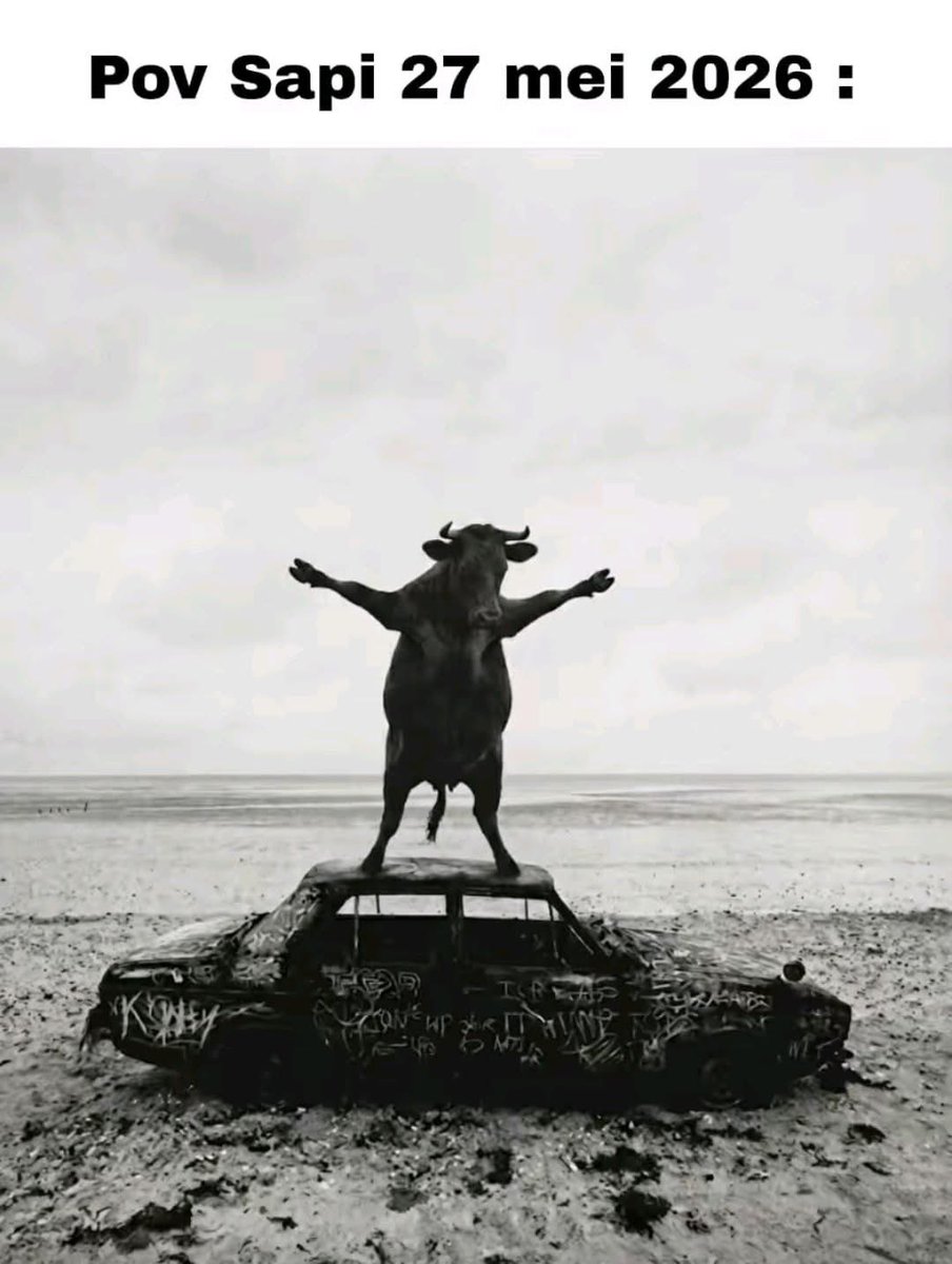 sosmed keras tweet media