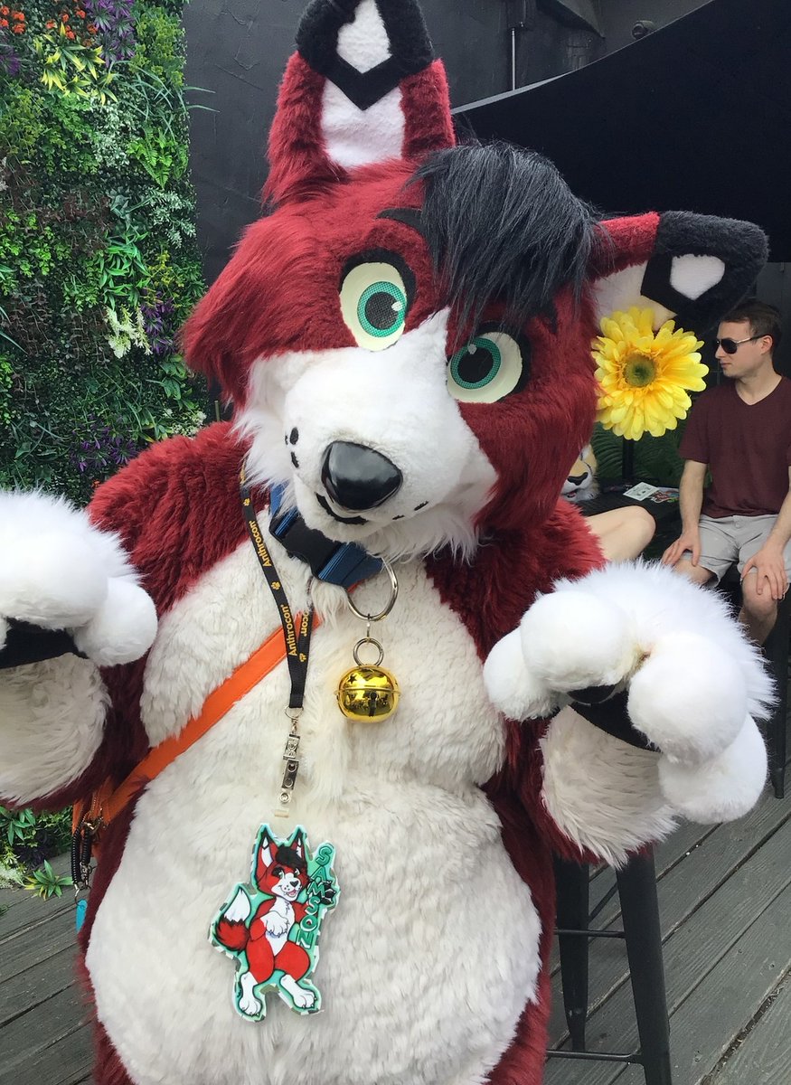 Spring Kibbins 🌺 🔜 FWA 2026 tweet media