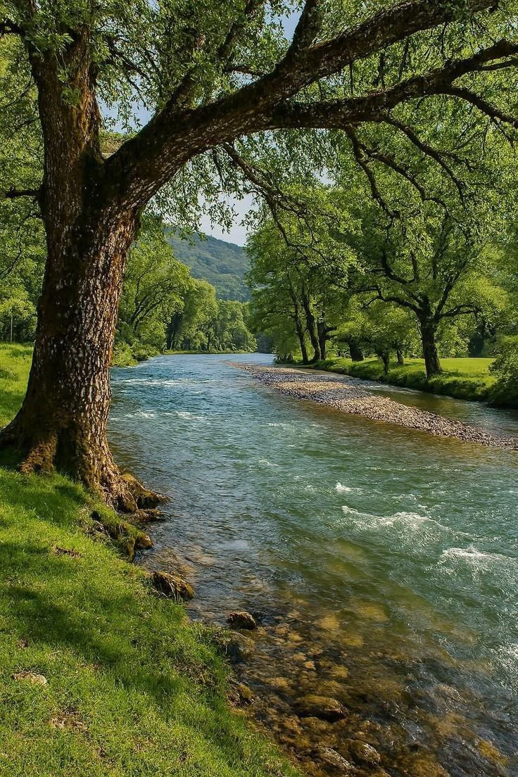 Trace lock 🕹️ tweet media