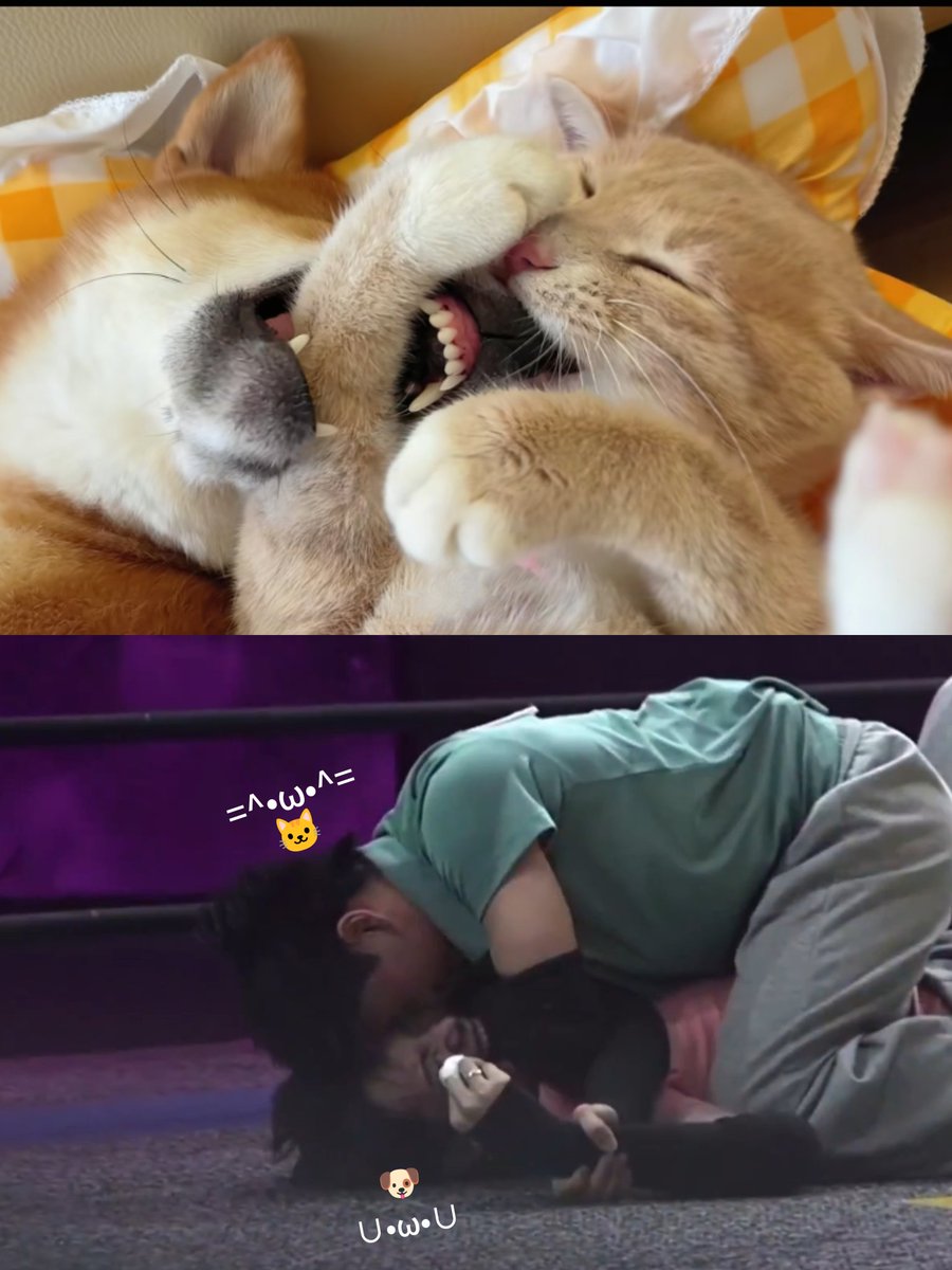 福路衣柜 tweet media