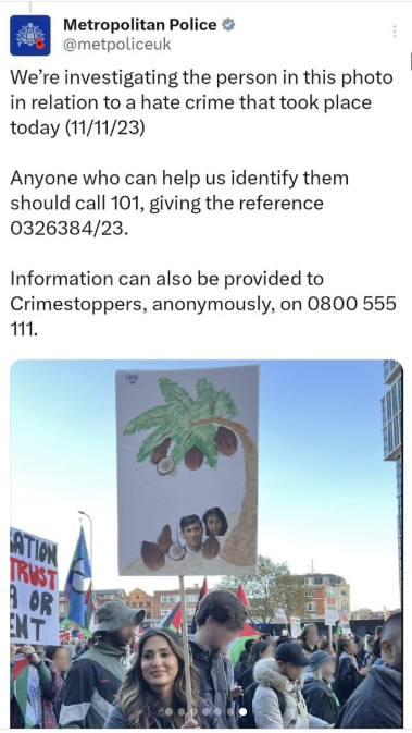 Nels Abbey tweet media