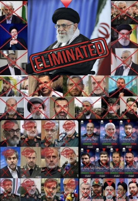 Vivid.🇮🇱 tweet media