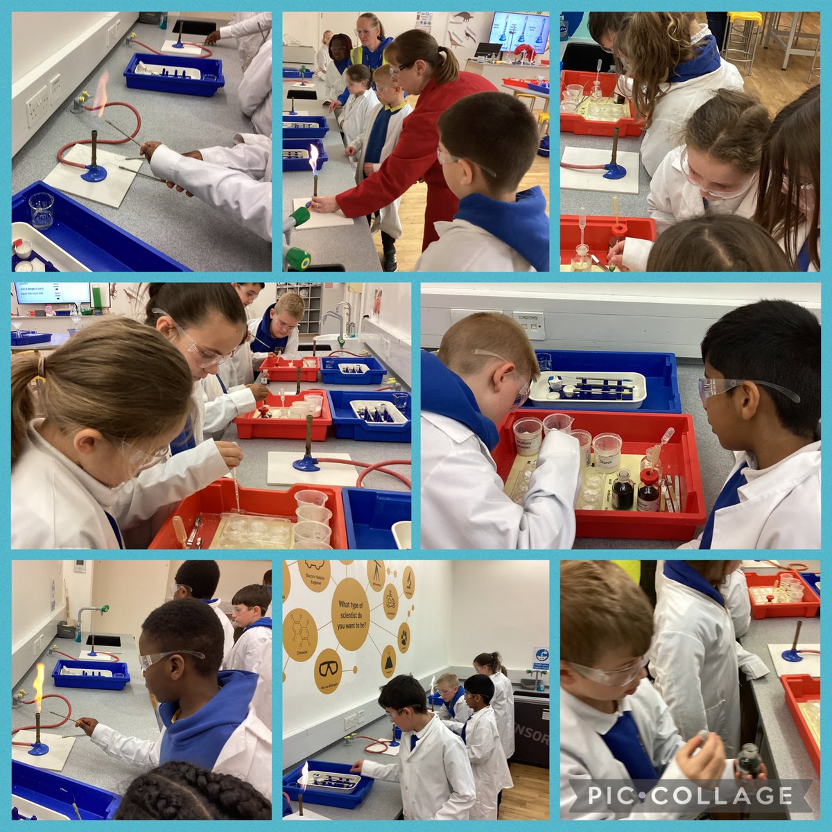 St Joseph's Prim(NS) tweet media
