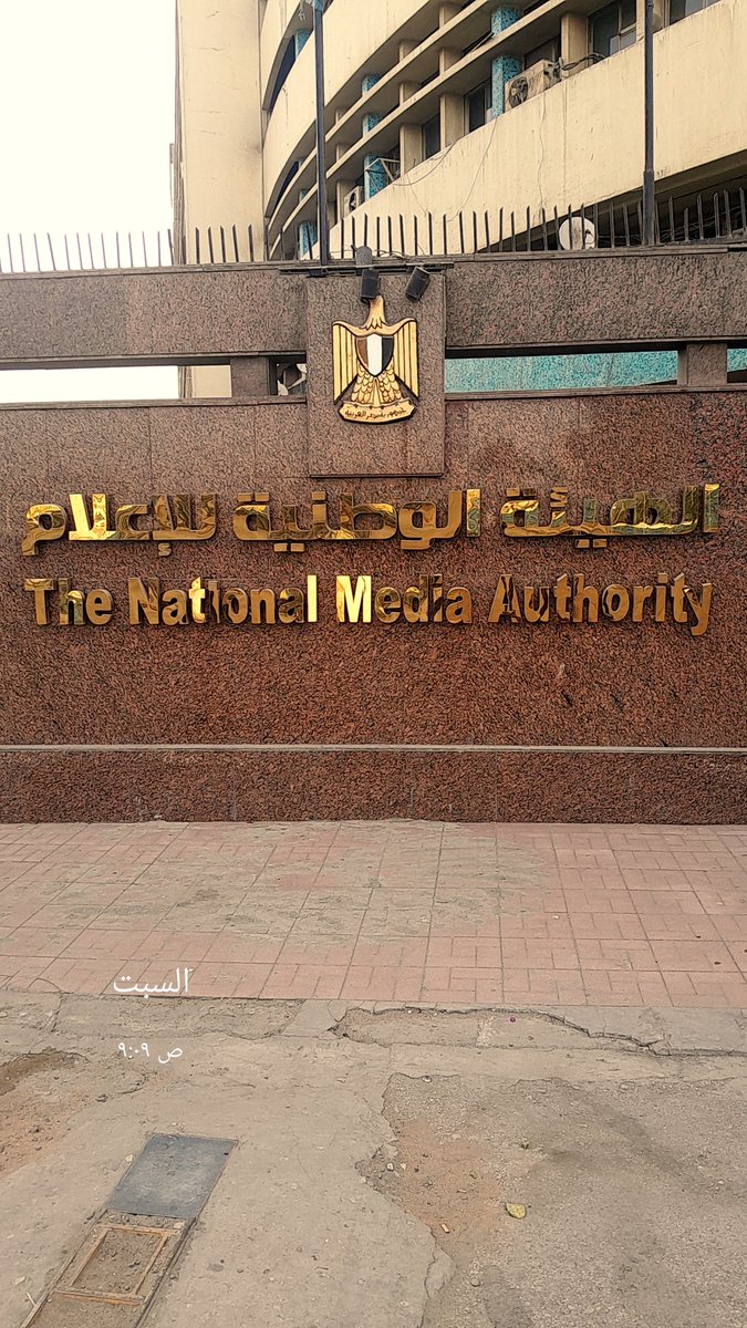 عَمْرو بن نَاصِر 🌿 tweet media