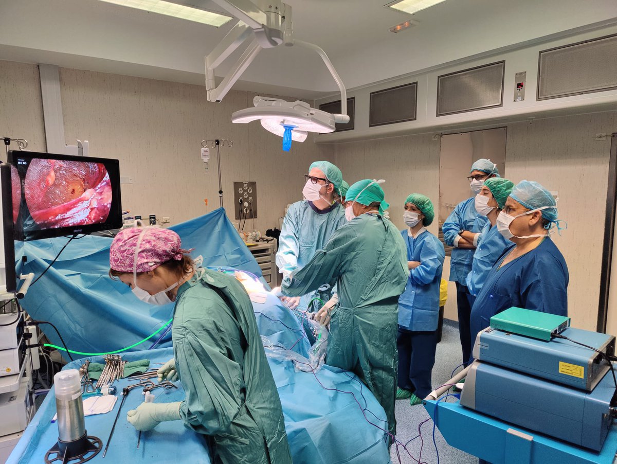 Jose M. Balibrea MD, PhD, FACS tweet media