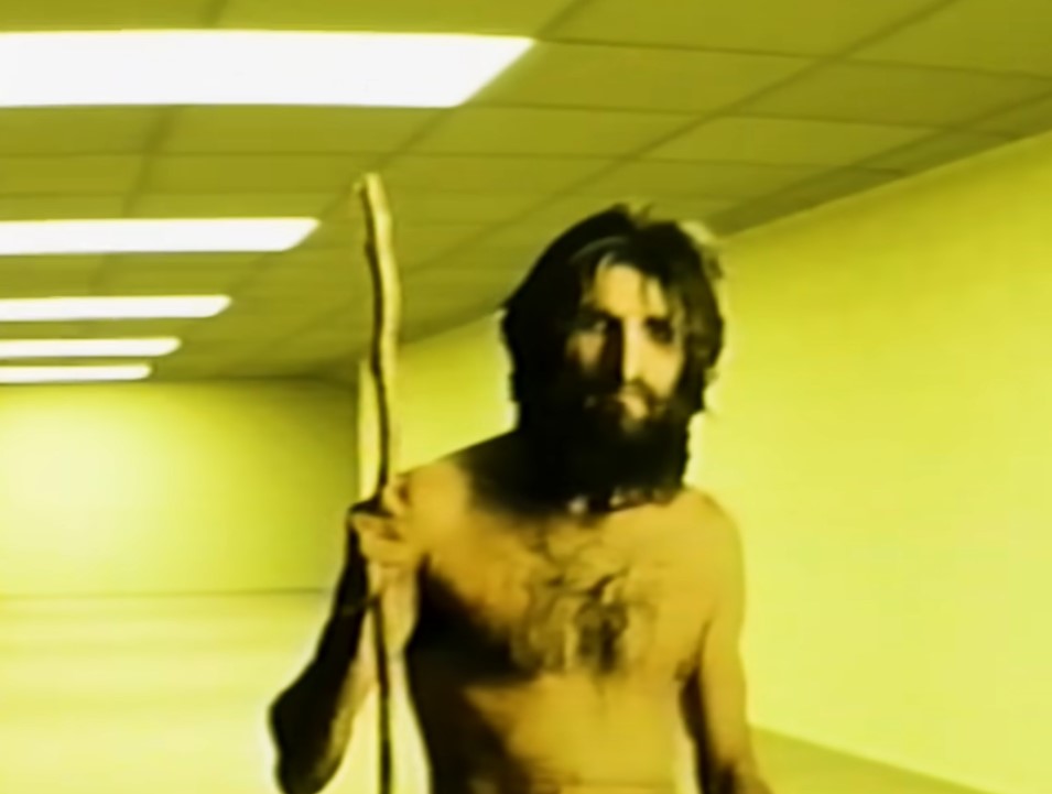 Zerofever🌡 tweet media