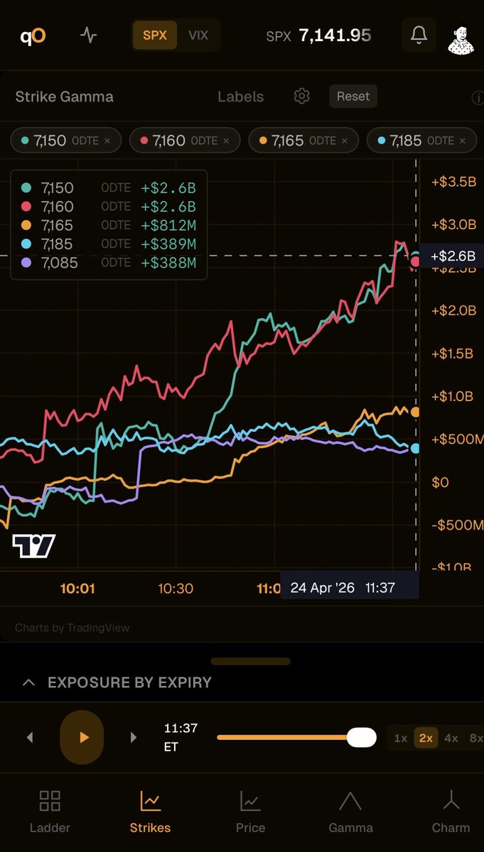 quantedOptions tweet media