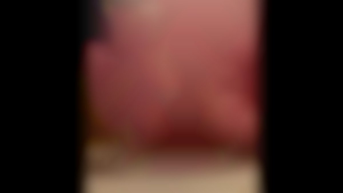 LucyPuddles tweet media