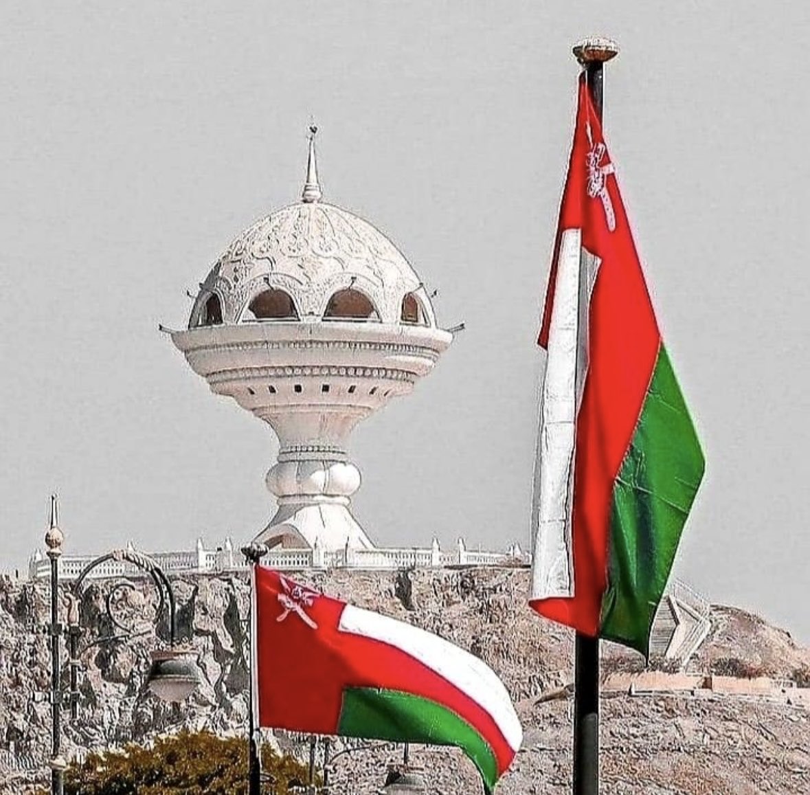 قمر الجابرية tweet media