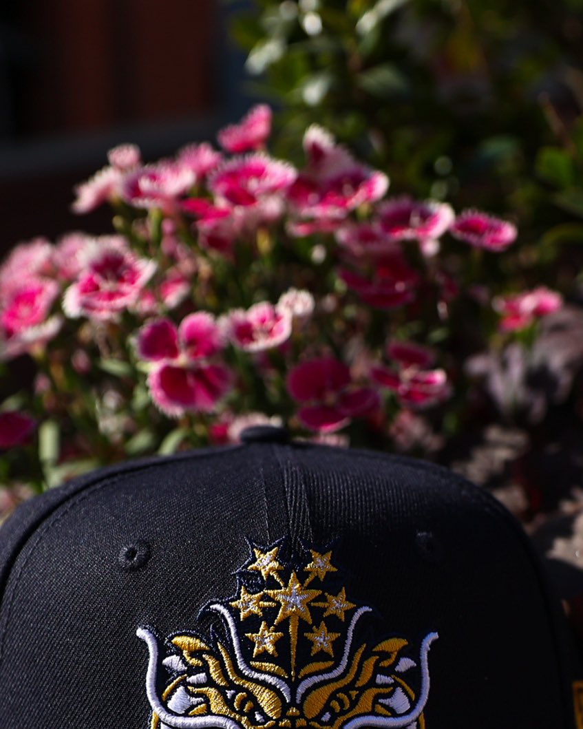 Durham Bulls tweet media