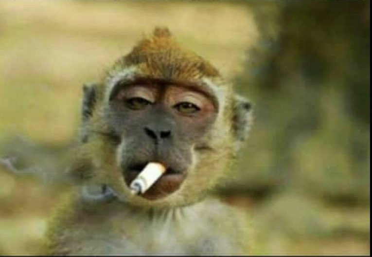 Elon k ap gade moun badj ble ki bay vag yo , paske yo pa janm fè kòb

Pandan li menm , li gentan manje lajan plizyè mwa abònman pou yo😂