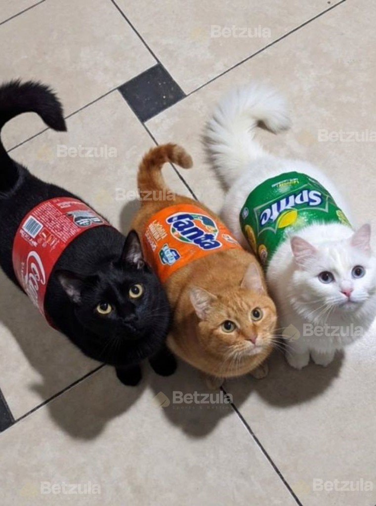 Be₺Zula - Be₺Zula Güncel - Be₺Zula Sosyal X tweet media