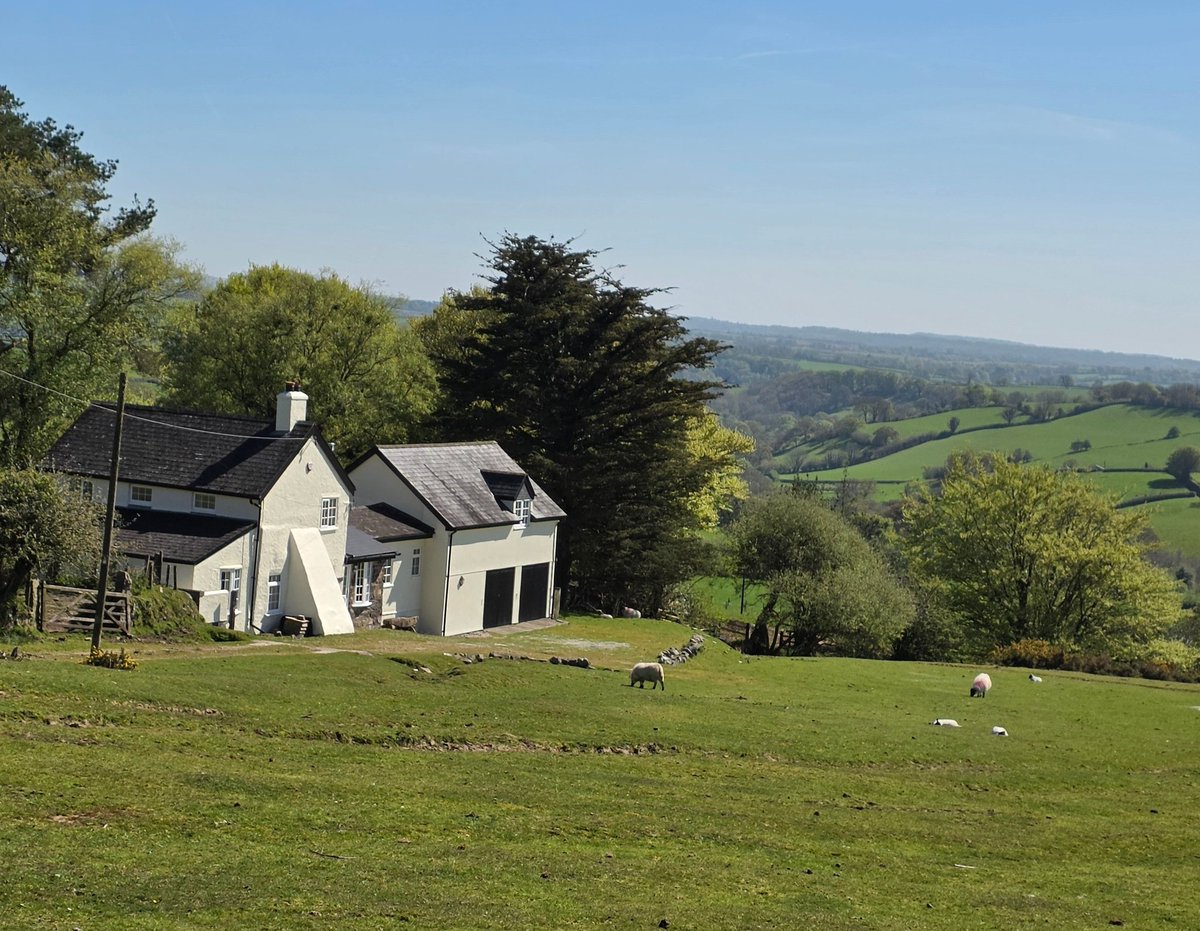 AHaglington's tweet image. 24 April 2026 
#MaryTavy #Dartmoor
#Devon #England