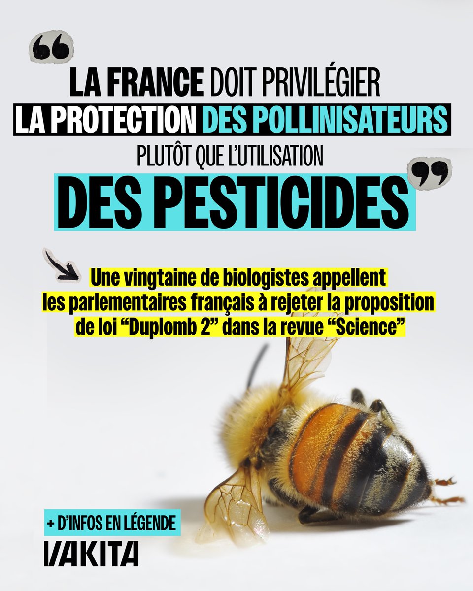 📢 « La France doit privilégier la protection des pollinisateurs plutôt que l’utilisation des pesticides. »

Une vingtaine de biologistes attaquent la loi “Duplomb 2”, dans une tribune publiée le 23 avril dans la prestigieuse revue Science.

Ces chercheurs, issus notamment du