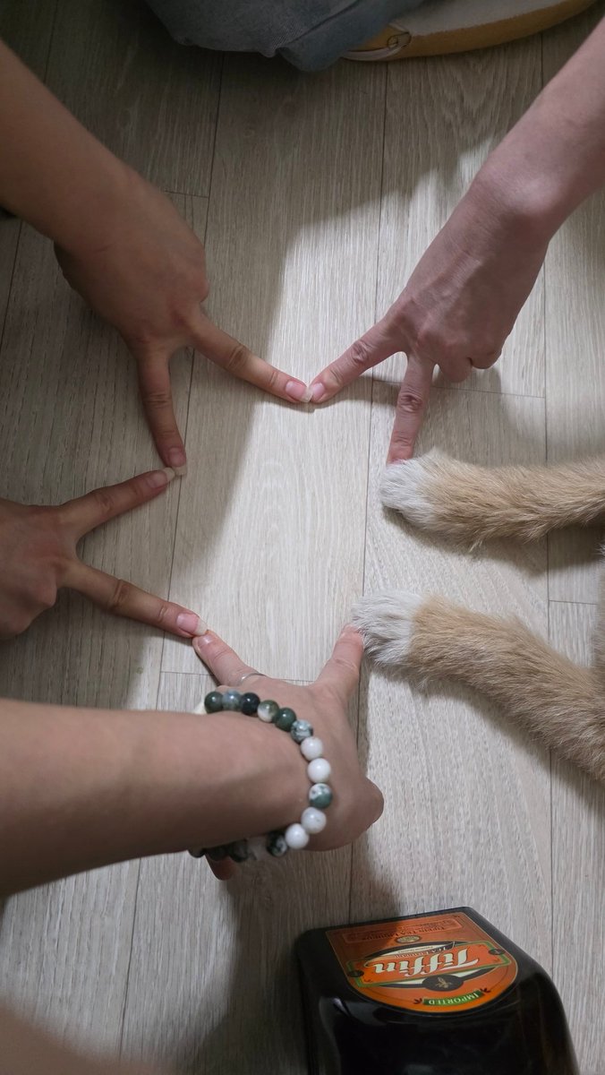 yean🕯️ tweet media