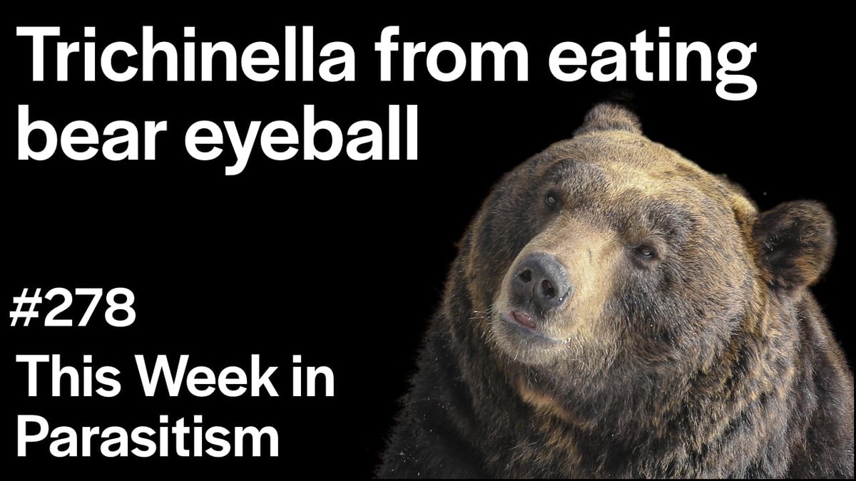 MicrobeTV tweet media