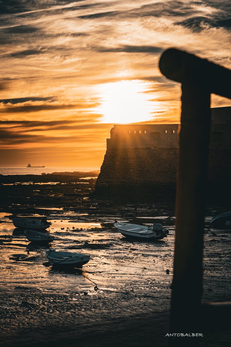 antobalberphotographer tweet media