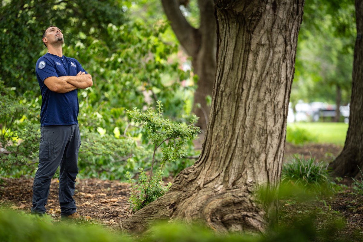 AOCHiring's tweet photo. Our dedicated arborists work on the #USCapitol Grounds trees every day, keeping them healthy and safe for everyone who visits. #ArborDay https://t.co/CQyHRcDdvx