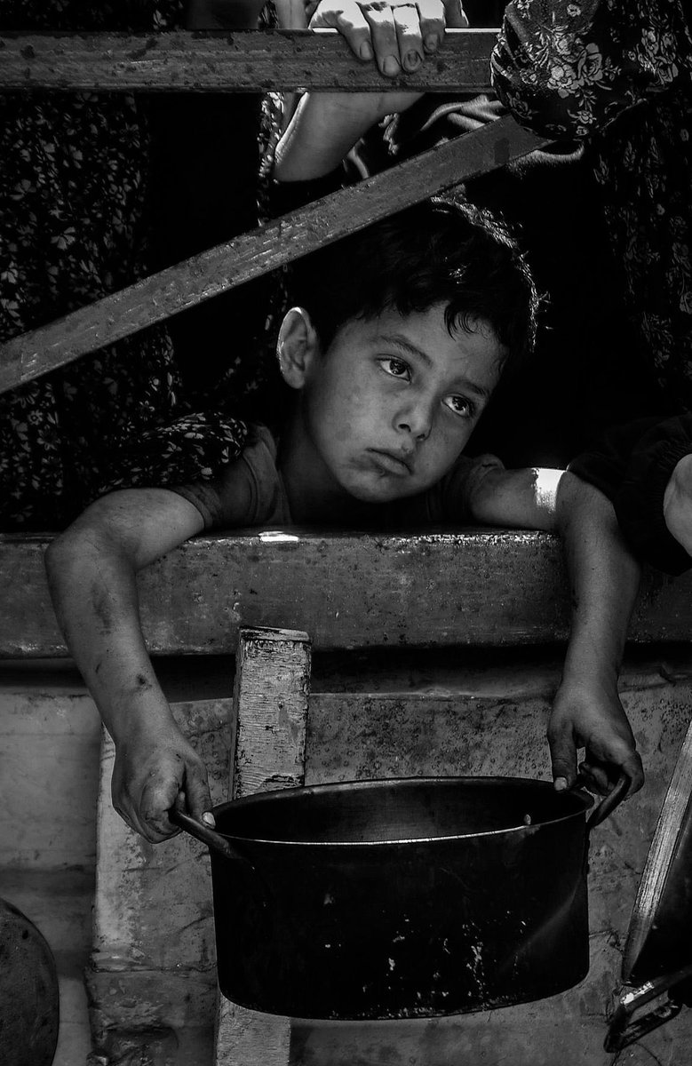 ¿Dónde estás humanidad?