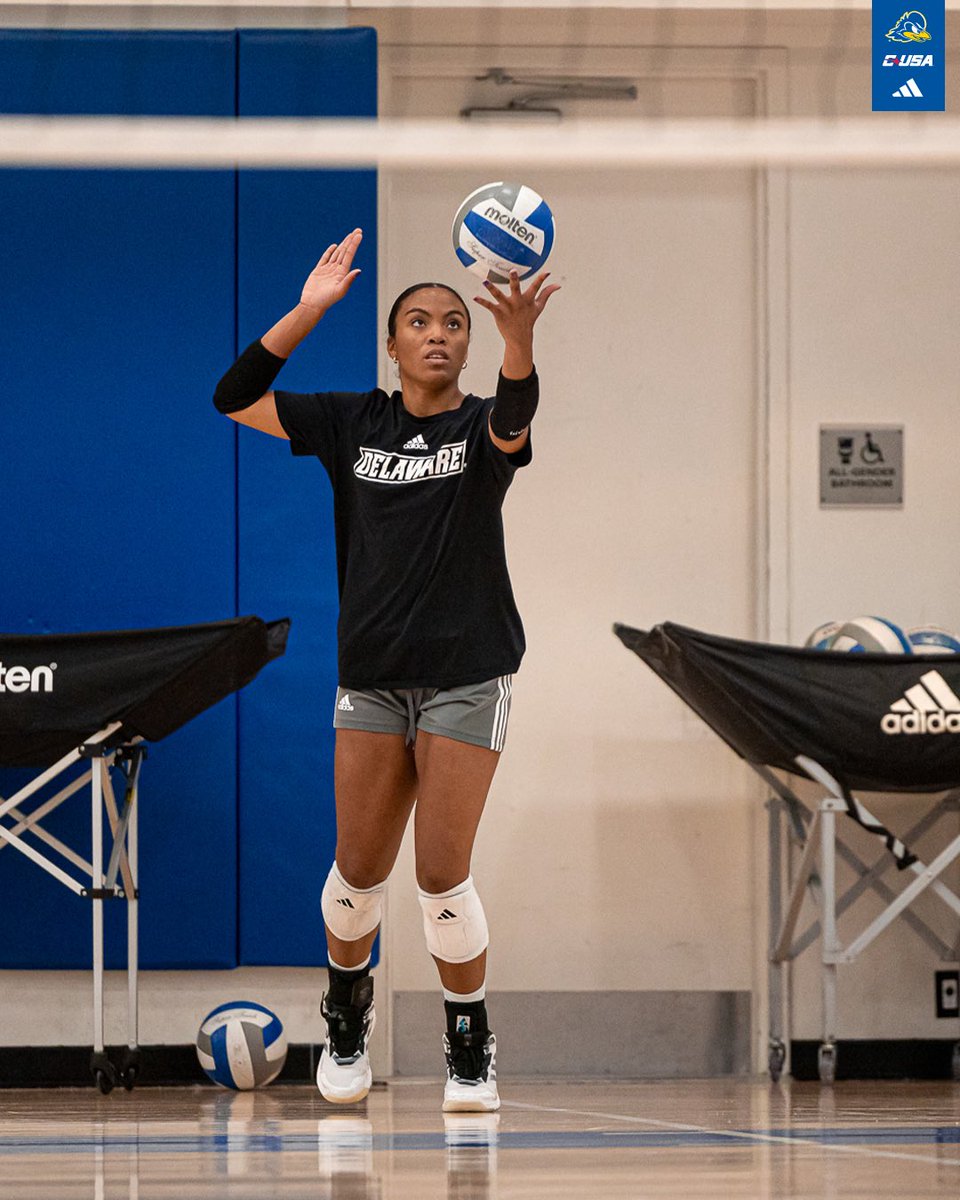 Delaware Volleyball tweet media