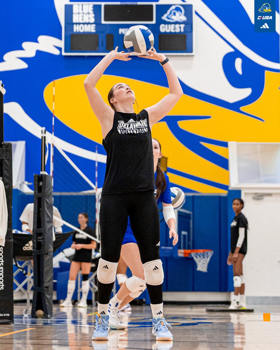 Delaware Volleyball tweet media