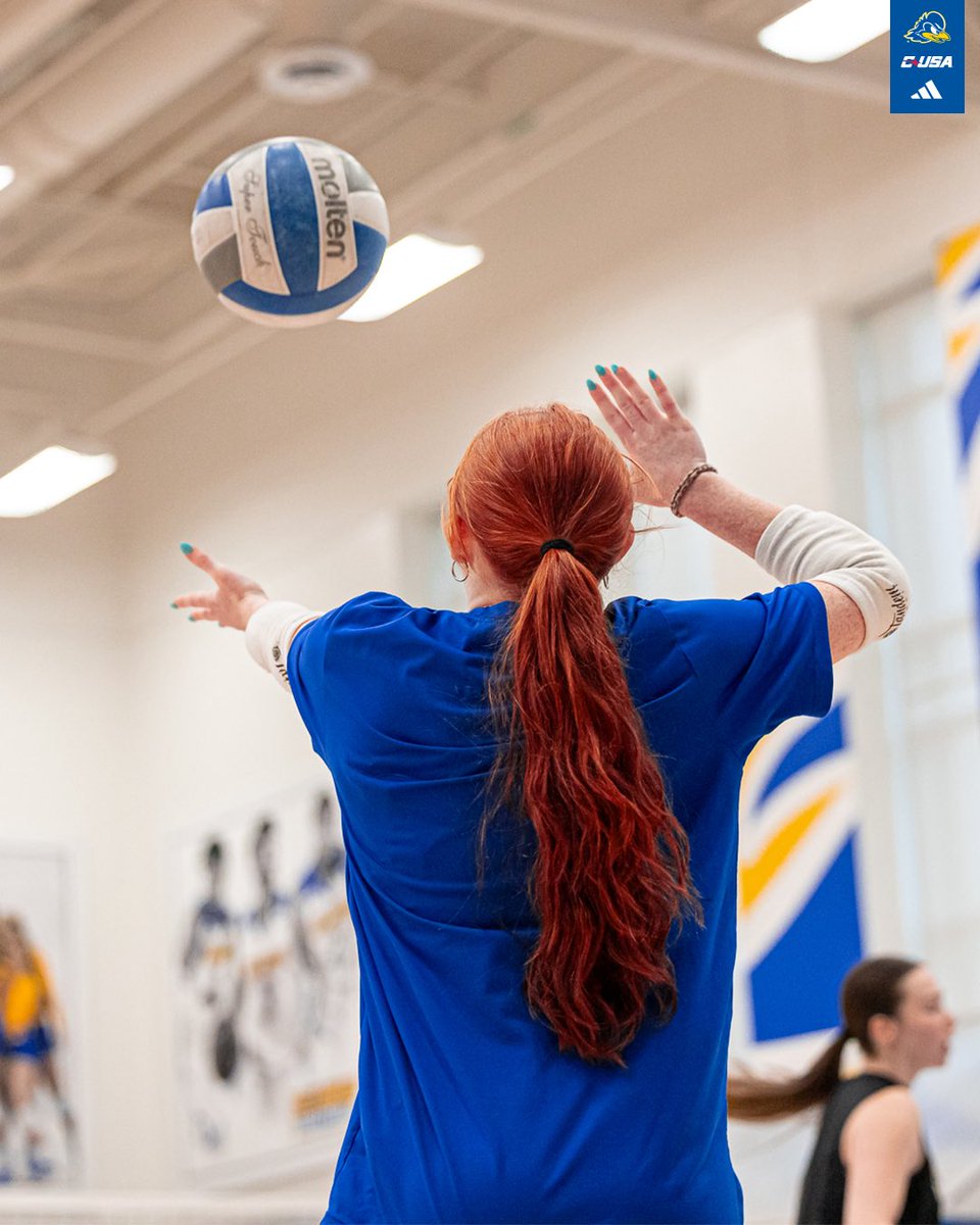 Delaware Volleyball tweet media