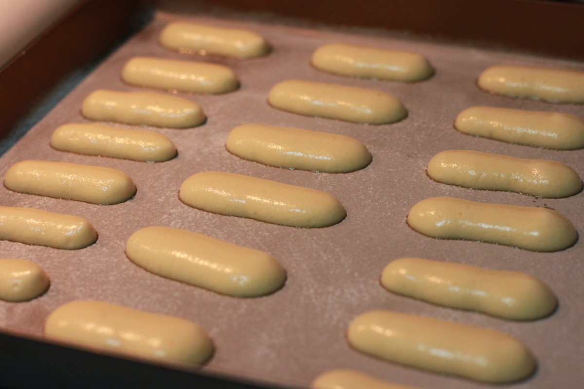 Black Tiger 73 tweet media