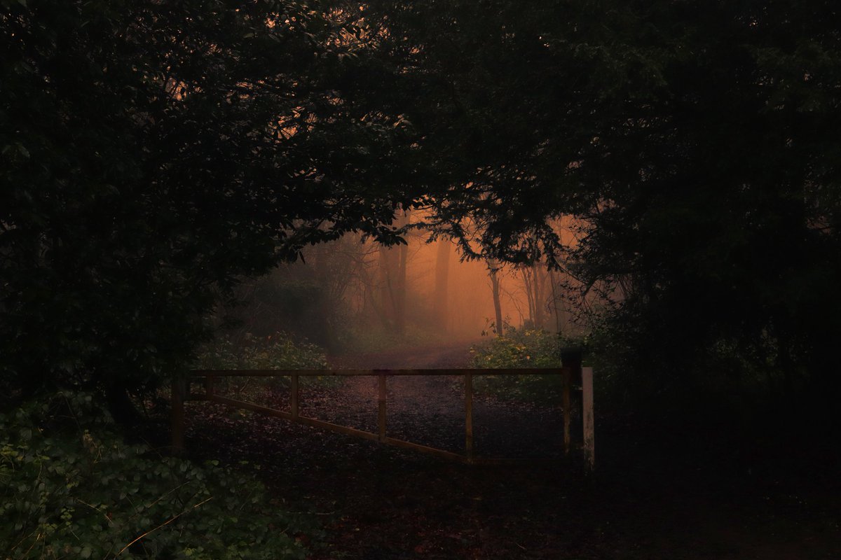 emilybakerphoto.eth tweet media