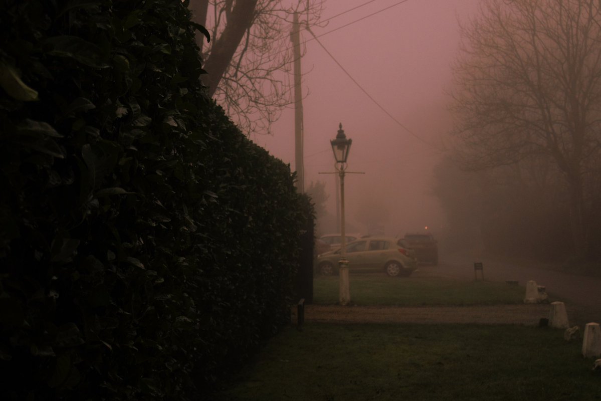 emilybakerphoto.eth tweet media