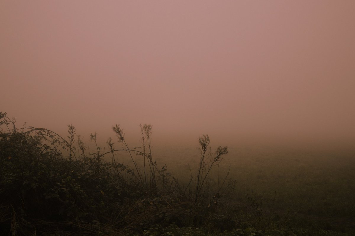 emilybakerphoto.eth tweet media