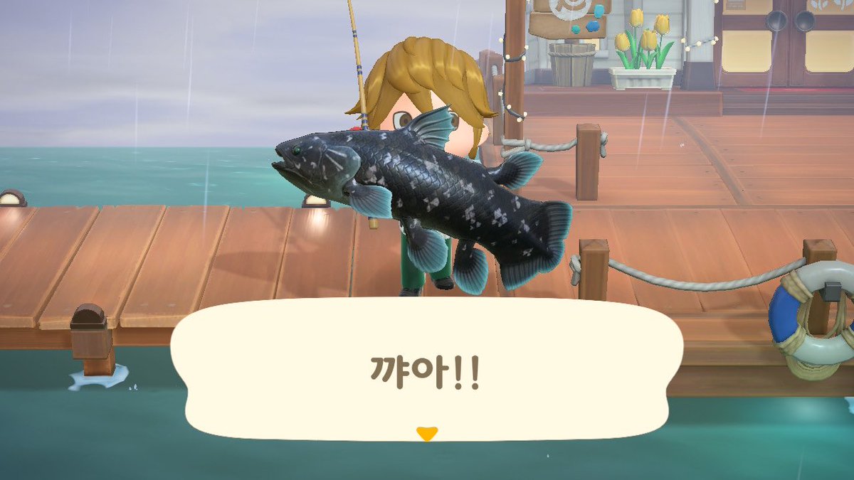 *̩̩̥ଳ즐겜러요밈ꪔ̤̮⑅ tweet media