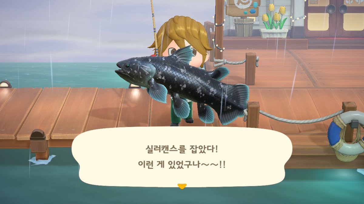 *̩̩̥ଳ즐겜러요밈ꪔ̤̮⑅ tweet media