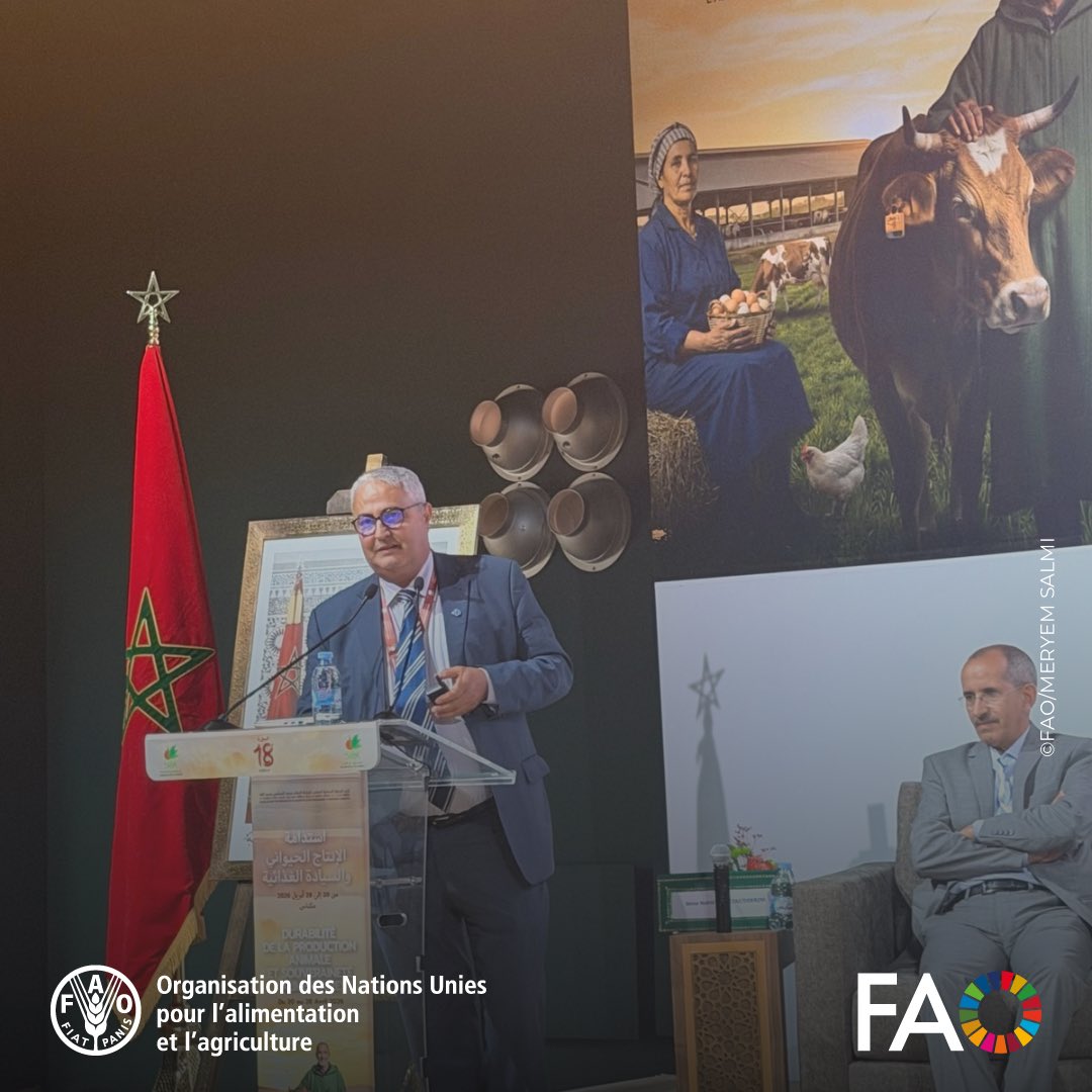 FAOMaroc's tweet photo. 🌿 M. Abdelhak Laiti, Représentant Assistant de la FAO au Maroc, présente le processus d’appui de la FAO et les perspectives de coopération futures pour le Programme National des Systèmes Ingénieux du Patrimoine Agricole Marocain. #SIAM2026 #SIPAM https://t.co/QEmWeaajBy