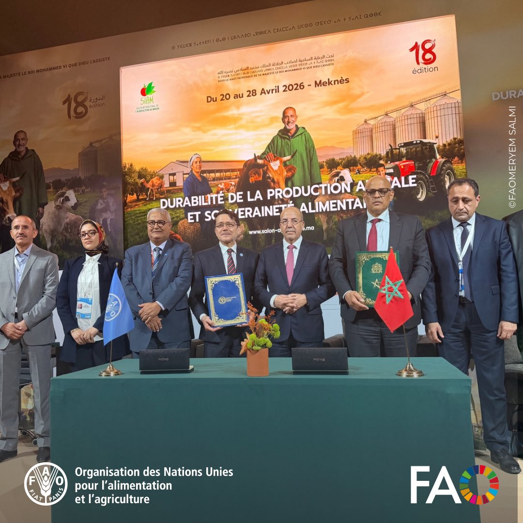 FAOMaroc's tweet photo. ✍️ Moment historique au #SIAM2026 : signature de la lettre d’entente entre le @Agri_gov_ma et la @FAOMaroc pour le renforcement de la coopération autour des Systèmes Ingénieux du Patrimoine Agricole. Le Maroc, déjà doté de 3 sites accrédités SIPAM, renforce son ambition. #SIPAM https://t.co/RkFLEx4S41