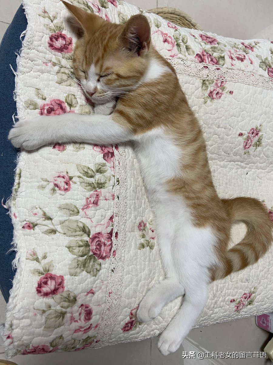 Matt king tweet media