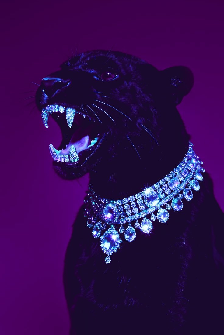 Mattayra🥷🥷🥷💜 tweet media