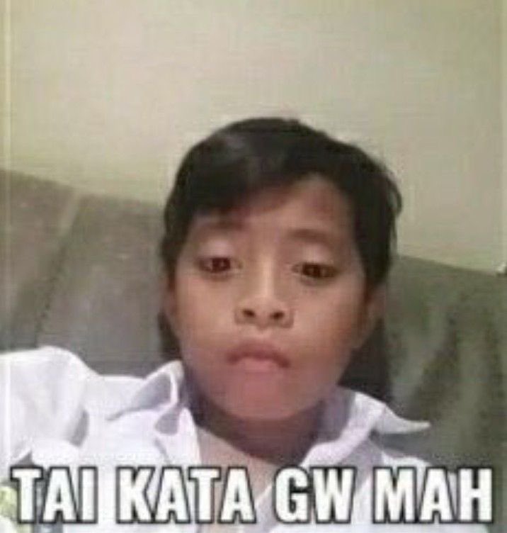 𝚌𝚑𝚒🪼 tweet media