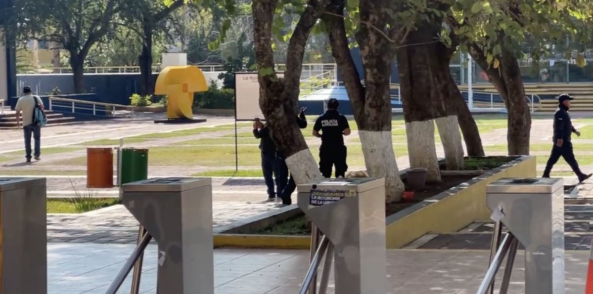 ADN Sureste tweet media