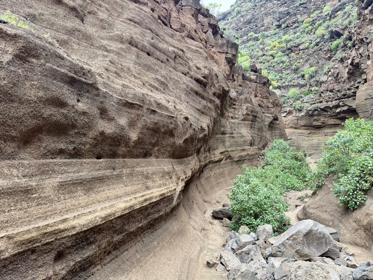 Maxim Vos tweet media