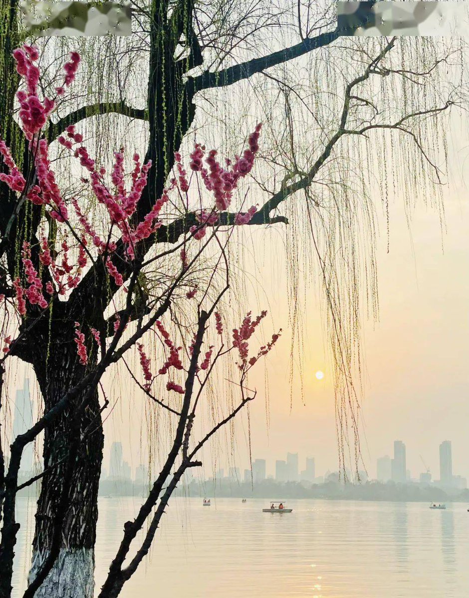 jinyoung tweet media