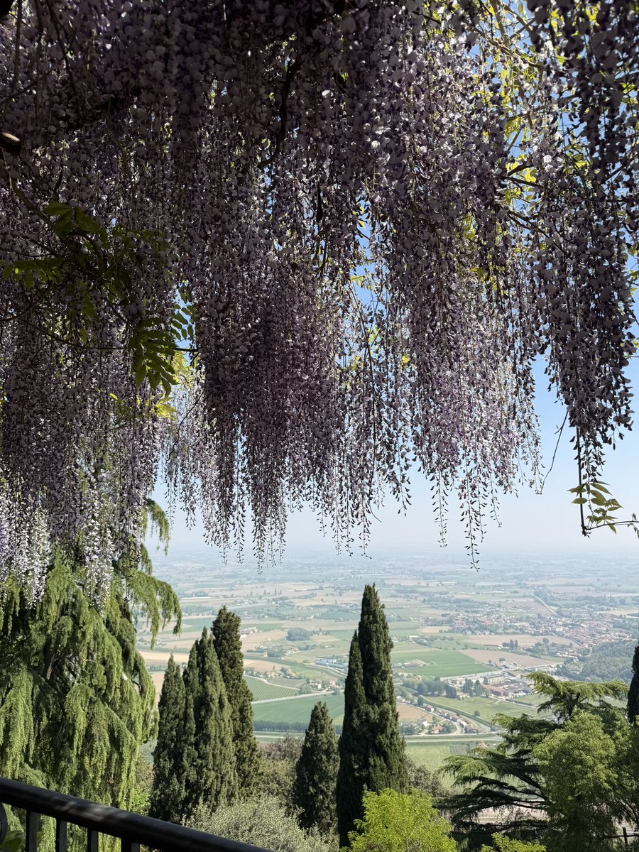 clebs 🇧🇷🇮🇹 tweet media